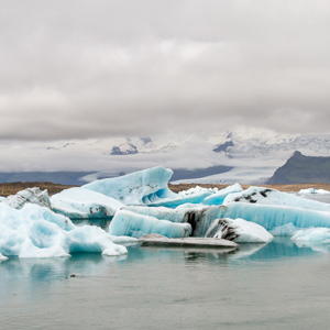 2012-07-26 - Waanzinnig gletsjermeer, met zeehond<br/>IJsmeer - Jökulsárlón - IJsland<br/>Canon EOS 7D - 24 mm - f/11.0, 1/160 sec, ISO 200