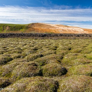2012-07-29 - Lava-bulten met gras en mos<br/>Leirhnjulur - Krafla - IJsland<br/>Canon EOS 7D - 14 mm - f/8.0, 1/125 sec, ISO 200