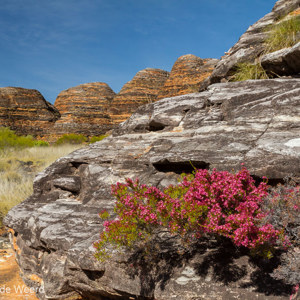 2011-07-19 - Contrast<br/>Wandeling naar Cathedral Gorge - Pernululu National Park (Bungle  - Australië<br/>Canon EOS 7D - 24 mm - f/11.0, 1/125 sec, ISO 200