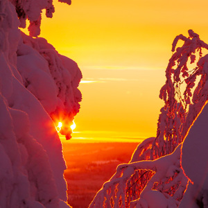 2011-02-11 - Warm-gekleurde zonsopkomst in een besneeuwd Lapland<br/>Iso Syöte - Finland<br/>Canon EOS 7D - 105 mm - f/8.0, 1/60 sec, ISO 200