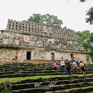 2008-07-22 - Edificio 33, met roof comb<br/>Maya-ruine Yaxchilan - Yazchilan - Mexico<br/>Canon EOS 30D - 13 mm - f/8.0, 1/200 sec, ISO 200
