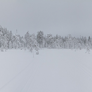 2011-02-08 - Panorama van de sneeuwvlakte<br/>Iso Syöte - Finland<br/>Canon EOS 7D - 24 mm - f/8.0, 1/125 sec, ISO 400