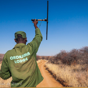 2007-08-23 - Radio-tracking van cheetahs<br/>Okonjima Lodge / Africat Foundat - Otjiwarongo - Namibie<br/>Canon EOS 30D - 17 mm - f/8.0, 1/320 sec, ISO 200
