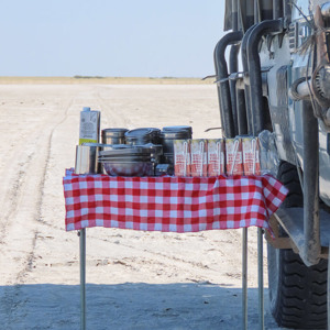 2024-05-04 - Na de stokstaartjes was er een koffie- en lunchpauze<br/>Makgadikgadi NP - Gweta - Botswana<br/>Canon PowerShot SX70 HS -  - , , ISO 100