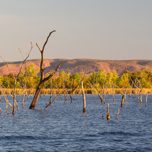 2011-07-21 - Dode bomen in het meer<br/>Kimberley Holiday Park - Kununurra - Australië<br/>Canon EOS 7D - 105 mm - f/8.0, 0.02 sec, ISO 200