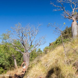 2011-07-23 - Carin tussen de Baobab-bomen<br/>Jinimum walk - Keep River National Park - Australië<br/>Canon EOS 7D - 24 mm - f/8.0, 1/400 sec, ISO 200
