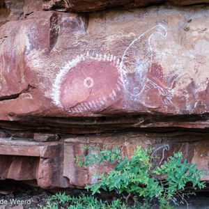 2011-07-23 - Hele oude Aboriginal rotsschilderingen<br/>Jinimum walk - Keep River National Park - Australië<br/>Canon EOS 7D - 24 mm - f/8.0, 1/8 sec, ISO 400