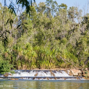 2011-07-25 - Weelderig groen met al dat water<br/>Wandeling - Flora River Nature Park - Australië<br/>Canon EOS 7D - 96 mm - f/8.0, 1/160 sec, ISO 200