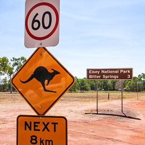 2011-07-26 - Oppassen voor kangaroos....<br/>Onderweg naar Bitter Springs - Elsey National Park - Australië<br/>Canon PowerShot SX1 IS - 7 mm - f/3.5, 1/1250 sec, ISO 80