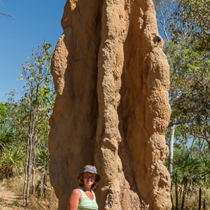 2011-07-29 - Termietenheuvel van de zogenaamde kathedraal-termiet<br/>Ondwerg - Litchfield National Park - Australië<br/>Canon EOS 7D - 24 mm - f/8.0, 1/200 sec, ISO 200
