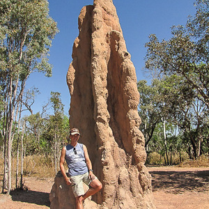 2011-07-29 - Termietenheuvel van de zogenaamde kathedraal-termiet<br/>Ondwerg - Litchfield National Park - Australië<br/>Canon PowerShot SX1 IS - 5 mm - f/5.0, 1/500 sec, ISO 80