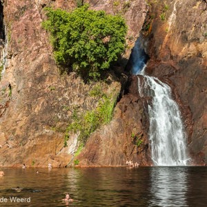 2011-07-30 - Populaire plek om te zwemmen<br/>Wangi Falls - Litchfield National Park - Australie<br/>Canon EOS 7D - 28 mm - f/8.0, 1/250 sec, ISO 200