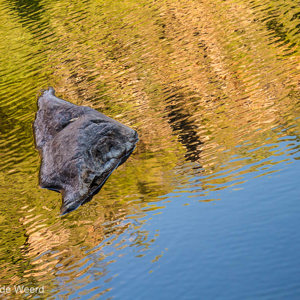 2011-08-01 - Reflecties<br/>Jim Jim Falls - Kakadu National Park - Australië<br/>Canon EOS 7D - 60 mm - f/4.0, 1/125 sec, ISO 400