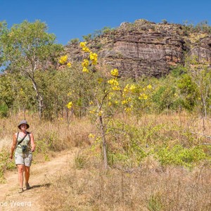 2011-08-02 - Prachitge omgeving<br/>Nunguluwur - Kakadu National Park - Australië<br/>Canon EOS 7D - 40 mm - f/11.0, 1/125 sec, ISO 200