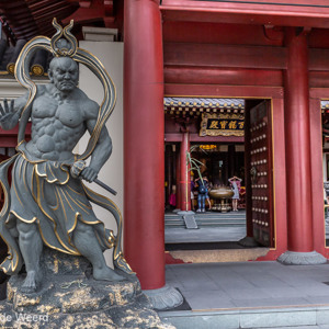 2018-11-18 - De ingang wordt goed bewaakt<br/>Buddha Tooth Relic Temple and mu - Singapore - Singapore<br/>Canon EOS 5D Mark III - 29 mm - f/5.6, 1/200 sec, ISO 400