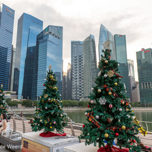 2018-11-18 - Kerstsfeer bij 30 graden<br/>Marina Bay - Singapore - Singapore<br/>Canon EOS 5D Mark III - 24 mm - f/8.0, 1/80 sec, ISO 400