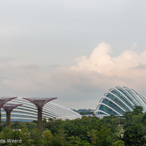 2018-11-18 - Supertrees en de domes<br/>Gardens by the Bay - Supertrees - Singapore - Singapore<br/>Canon EOS 5D Mark III - 70 mm - f/8.0, 1/60 sec, ISO 400