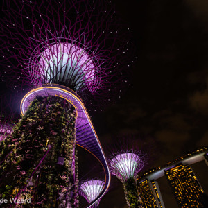 2018-11-18 - Met alle verlichting wordt het sprookjesachtig<br/>Gardens by the Bay - Supertrees - Singapore - Singapore<br/>Canon EOS 5D Mark III - 16 mm - f/4.0, 1/13 sec, ISO 1600