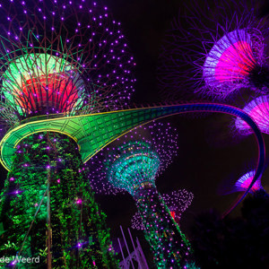 2018-11-18 - De sound-and-light show is fantastisch<br/>Gardens by the Bay - Supertrees - Singapore - Singapore<br/>Canon EOS 5D Mark III - 16 mm - f/4.0, 0.1 sec, ISO 1600