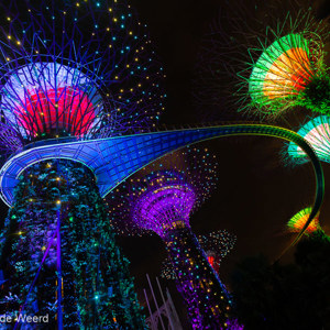 2018-11-18 - Op jaren-80 disco muziek lichten de bomen op<br/>Gardens by the Bay - Supertrees - Singapore - Singapore<br/>Canon EOS 5D Mark III - 16 mm - f/4.0, 0.1 sec, ISO 1600
