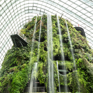 2018-11-19 - Waterval in de Cloud forest dome<br/>Gardens by the bay - Cloud fores - Singapore - Singapore<br/>Canon EOS 5D Mark III - 24 mm - f/8.0, 1/15 sec, ISO 200