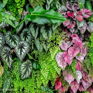 2018-11-19 - Wat een kleuren en structuren<br/>Gardens by the bay - Cloud fores - Singapore - Singapore<br/>Canon EOS 5D Mark III - 70 mm - f/8.0, 0.1 sec, ISO 800