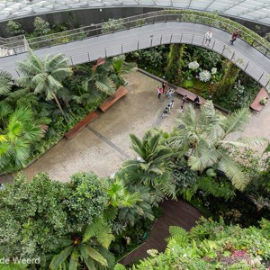 2018-11-19 - Uitzicht van bovenaf op de loopbrug in de dome<br/>Gardens by the bay - Cloud fores - Singapore - Singapore<br/>Canon EOS 5D Mark III - 24 mm - f/5.6, 1/30 sec, ISO 400