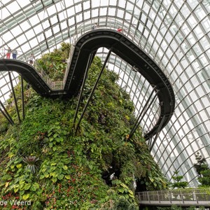 2018-11-19 - Loopbrug in de dome<br/>Gardens by the bay - Cloud fores - Singapore - Singapore<br/>Canon EOS 5D Mark III - 24 mm - f/5.6, 0.02 sec, ISO 400