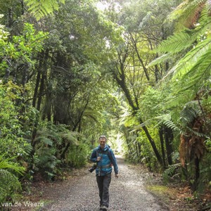 2018-11-21 - Op zoek naar de Kauri bomen, in de regen<br/>Waipoua forest - Waipoua - Nieuw-Zeeland<br/>Canon PowerShot SX60 HS - 8.1 mm - f/4.5, 0.04 sec, ISO 800