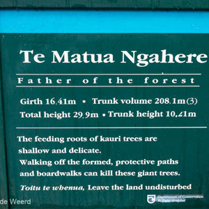 2018-11-21 - De dikste Kauri, vader van het bos<br/>Waipoua forest - Waipoua - Nieuw-Zeeland<br/>Canon EOS 5D Mark III - 70 mm - f/4.0, 0.25 sec, ISO 800