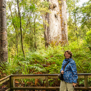 2018-11-21 - Carin bij het uitzichtplateau bij de enorme boom<br/>Waipoua forest - Waipoua - Nieuw-Zeeland<br/>Canon EOS 5D Mark III - 24 mm - f/5.6, 0.04 sec, ISO 800