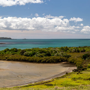 2018-11-22 - Prachtig uitzicht over de baai met groene zee<br/>Waitangi treaty grounds - Waitangi - Nieuw-Zeeland<br/>Canon EOS 5D Mark III - 48 mm - f/8.0, 1/160 sec, ISO 200