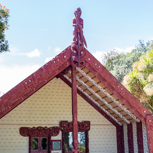 2018-11-22 - Te Whare Rūnanga (the House of Assembly)<br/>Waitangi treaty grounds - Waitangi - Nieuw-Zeeland<br/>Canon EOS 5D Mark III - 46 mm - f/8.0, 1/40 sec, ISO 200