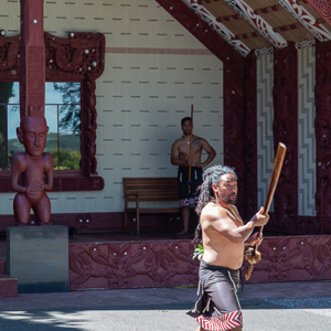 2018-11-22 - Maori begroetingsritueel<br/>Waitangi treaty grounds - Waitangi - Nieuw-Zeeland<br/>Canon EOS 5D Mark III - 70 mm - f/4.5, 1/125 sec, ISO 200