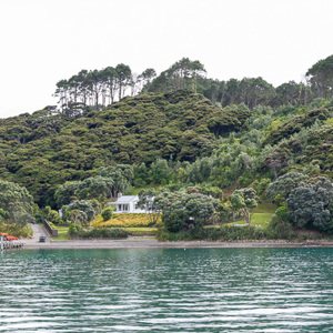 2018-11-23 - Uitzicht onderweg op één van de vele eilandjes<br/>Bay of Islands - Paihia - Nieuw-Zeeland<br/>Canon EOS 5D Mark III - 70 mm - f/8.0, 1/80 sec, ISO 200