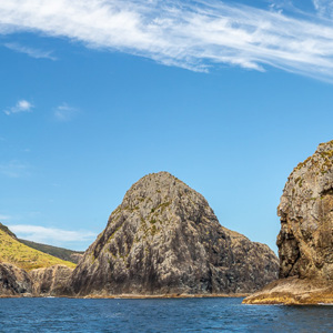 2018-11-23 - Met het doorgekomen zonnetje ziet het er vriendelijk uit<br/>Bay of Islands - Paihia - Nieuw-Zeeland<br/>Canon EOS 5D Mark III - 52 mm - f/8.0, 1/250 sec, ISO 200