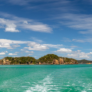 2018-11-23 - Onwerkelijk groene zee (mede dankzij de zon)<br/>Bay of Islands - Paihia - Nieuw-Zeeland<br/>Canon EOS 5D Mark III - 70 mm - f/8.0, 1/320 sec, ISO 200