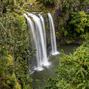 2018-11-24 - Mooi uitzicht op de Whangarei Falls<br/>Whangarei Falls - Whangarei - Nieuw-Zeeland<br/>Canon EOS 5D Mark III - 31 mm - f/20.0, 0.3 sec, ISO 100