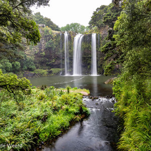 2018-11-24 - Prachtig groen rondom de Whagarei Falls<br/>Whangarei Falls - Whangarei - Nieuw-Zeeland<br/>Canon EOS 5D Mark III - 24 mm - f/16.0, 0.6 sec, ISO 100