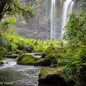 2018-11-24 - Ook hier weer 50 tinten groen<br/>Whangarei Falls - Whangarei - Nieuw-Zeeland<br/>Canon EOS 5D Mark III - 70 mm - f/11.0, 0.3 sec, ISO 100