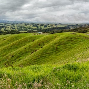2018-11-24 - Het landschap onderweg<br/>Onderweg - Waipoua - Hahei - Nieuw-Zeeland<br/>Canon EOS 5D Mark III - 24 mm - f/11.0, 1/60 sec, ISO 200