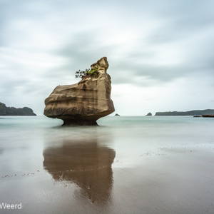 2018-11-25 - Bijzonder afgesleten rots<br/>Cathedral Cove - Hahei - Nieuw-Zeeland<br/>Canon EOS 5D Mark III - 18 mm - f/16.0, 25 sec, ISO 100