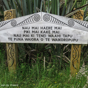 2018-12-03 - De Maori taal is lastig...<br/>Te Waikaroropupu Springs - Takaka - Nieuw-Zeeland<br/>Canon PowerShot SX60 HS - 7.5 mm - f/8.0, 0.01 sec, ISO 100