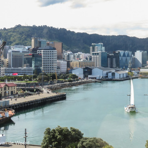 2018-11-30 - Uitzicht op de baai<br/>Stadscentrum - Wellington - Nieuw-Zeeland<br/>Canon PowerShot SX60 HS - 7.2 mm - f/8.0, 1/125 sec, ISO 100