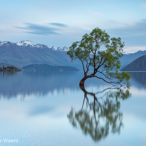 2018-12-07 - Eén van de iconische lansdschapfotos van Nieuw-Zeeland<br/>That Wanaka Tree (Lake Wanaka) - Wanaka - Nieuw-Zeeland<br/>Canon EOS 5D Mark III - 52 mm - f/16.0, 120 sec, ISO 100