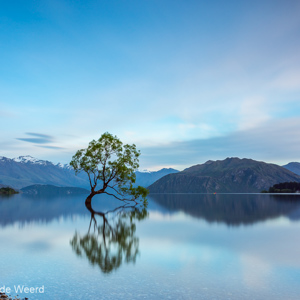 2018-12-07 - De boom in het Wanaka meer<br/>That Wanaka Tree (Lake Wanaka) - Wanaka - Nieuw-Zeeland<br/>Canon EOS 5D Mark III - 31 mm - f/16.0, 78 sec, ISO 100