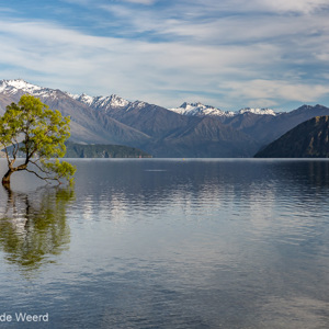 2018-12-07 - That Wanaka tree met normale slutiertijd<br/>That Wanaka Tree (Lake Wanaka) - Wanaka - Nieuw-Zeeland<br/>Canon EOS 5D Mark III - 63 mm - f/16.0, 1/40 sec, ISO 200