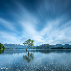 2018-12-07 - That Wanaka tree met lange sluitertijd<br/>That Wanaka Tree (Lake Wanaka) - Wanaka - Nieuw-Zeeland<br/>Canon EOS 5D Mark III - 19 mm - f/16.0, 164 sec, ISO 100