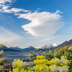 2018-12-07 - Kleurige lupines op de voorgrond<br/>Glenorchy Road - Queenstown - Glenorchy - Nieuw-Zeeland<br/>Canon EOS 5D Mark III - 45 mm - f/11.0, 1/125 sec, ISO 400