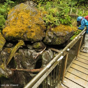 2018-12-09 - Wouter in zijn regen-tenue<br/>The Chasm - Te Anau - Milford Sound - Nieuw-Zeeland<br/>Canon PowerShot SX60 HS - 3.8 mm - f/8.0, 0.2 sec, ISO 100